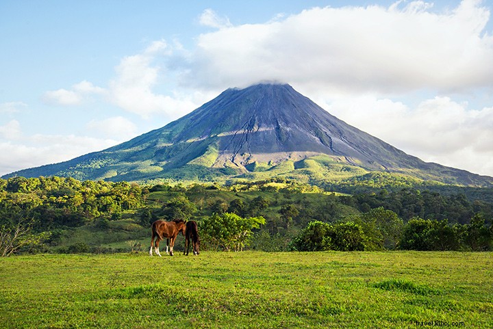 14 razões pelas quais você deve levar a família para a Costa Rica em vez de um parque temático 